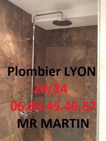 apams plomberie Brindas pose et installation de salle de bains